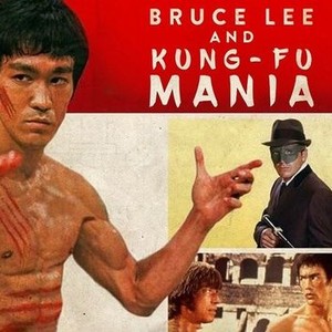 Bruce lee and kung fu mania store