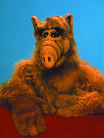 Alf full episodes season 1 best sale