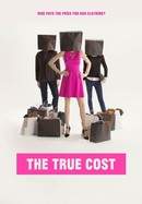 The True Cost poster image