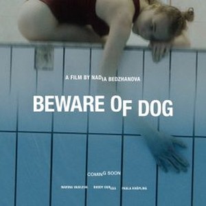 beware of the dog summary