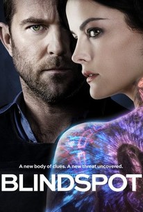Blindspot: Season 3 poster image