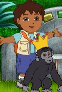 go diego go great gorilla