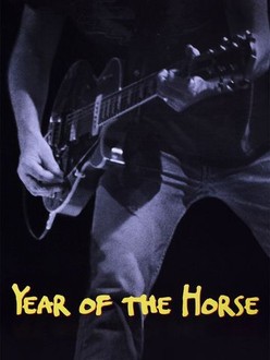 Year of the Horse | Rotten Tomatoes