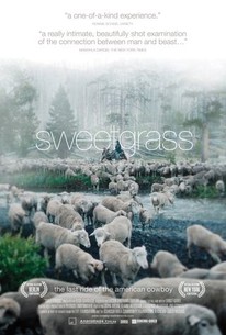 Watch trailer for Sweetgrass