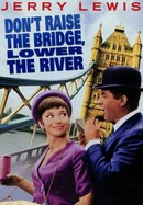 Don't Raise the Bridge, Lower the River poster image