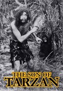 The Son of Tarzan poster image
