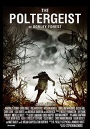 The Poltergeist of Borley Forest poster image