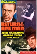 Return of the Ape Man poster image