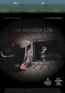 The Invisible Life poster image
