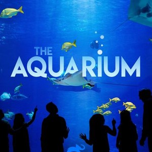 The Aquarium - Rotten Tomatoes