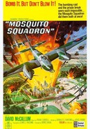 Mosquito Squadron poster image