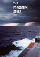 The Forgotten Space poster image