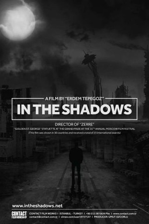 In the Shadows poster