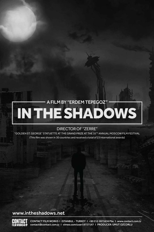 In the Shadows poster