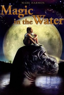 Poster for Magic in the Water