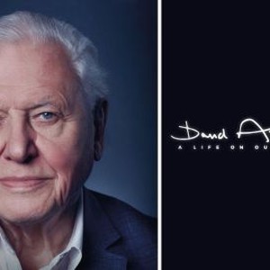David Attenborough: A Life on Our Planet photo 17