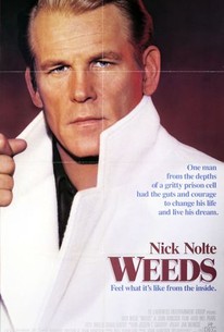 Weeds poster
