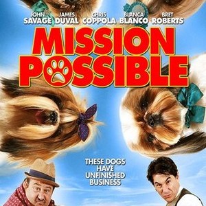 Mission Possible (2018) photo 12