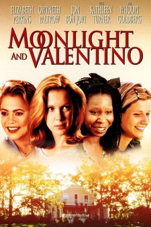Moonlight and Valentino poster