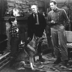 SIGN OF THE WOLF, Darryl Hickman, Smokey the Dog, Brandon Hurst, Michael Whalen, 1941
