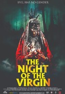 The Night of the Virgin poster image