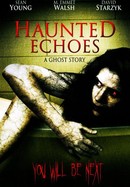 Haunted Echoes poster image