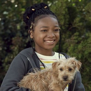 Puppy Place: Season 2, Episode 3 - Rotten Tomatoes