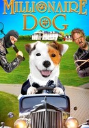 Millionaire Dog poster image