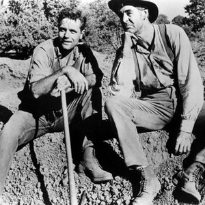 GOD'S LITTLE ACRE, Jack Lord, Robert Ryan, 1958