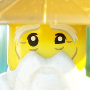 The LEGO NINJAGO Movie - Rotten Tomatoes