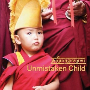 Unmistaken Child photo 11