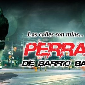 Perras de barrio - Rotten Tomatoes