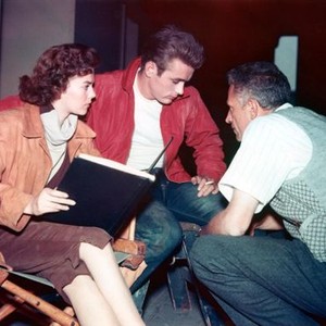 REBEL WITHOUT A CAUSE, Natalie Wood, James Dean, Nicholas Ray, 1955, directing