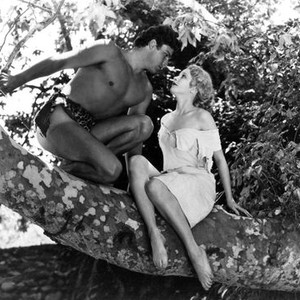 Tarzan the Fearless (1933) photo 1