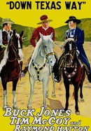 Down Texas Way poster image