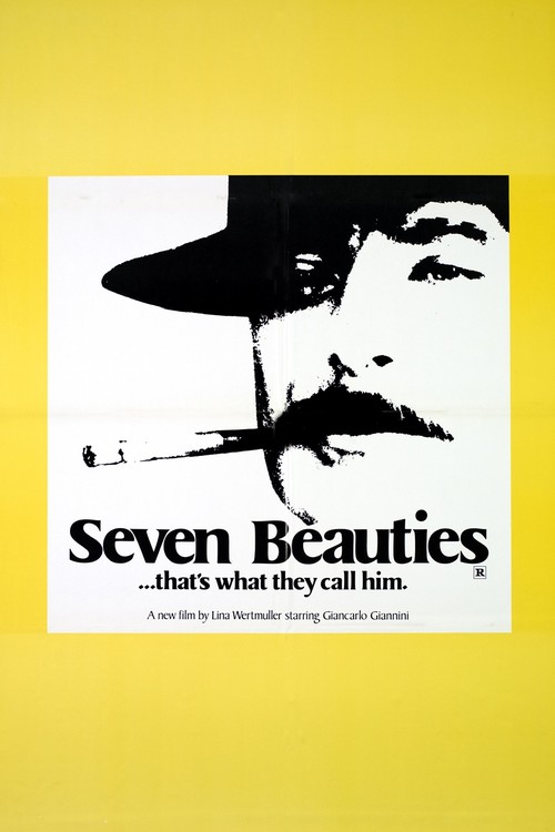 Seven Beauties poster