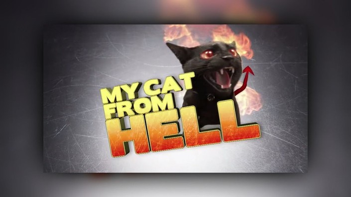 My cat from hell season 4 episode 5 sales