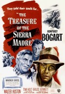 The Treasure of the Sierra Madre poster image