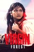 Poster for