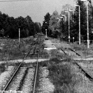 Train tracks leading to Sobibor. photo 15