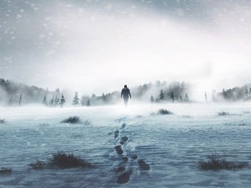Alone Season 7 Rotten Tomatoes