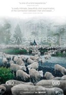 Sweetgrass poster image