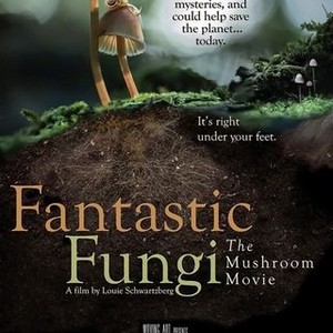 Fantastic Fungi (2019) photo 19
