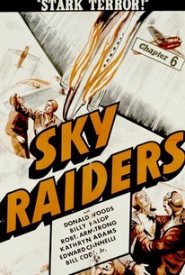 Poster for Sky Raiders