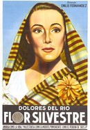 Flor Silvestre poster image