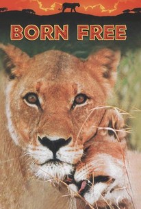 Watch trailer for Born Free