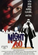 Night Zoo poster image
