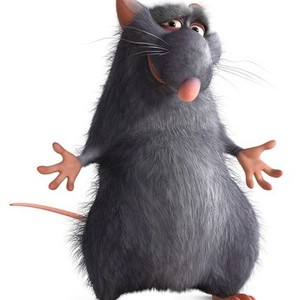 "Ratatouille photo 2"
