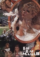 Big Bad Mama II poster image