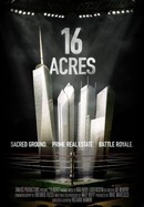16 Acres poster image